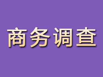 河津商务调查